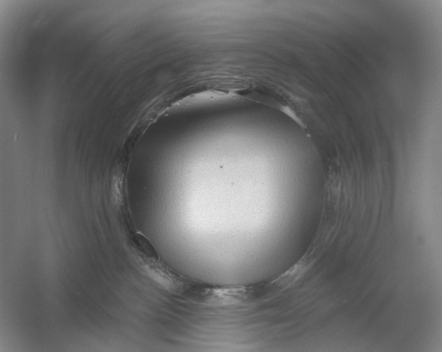X0000054360188200508262324