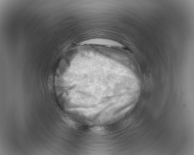 X0000054360189200508262324