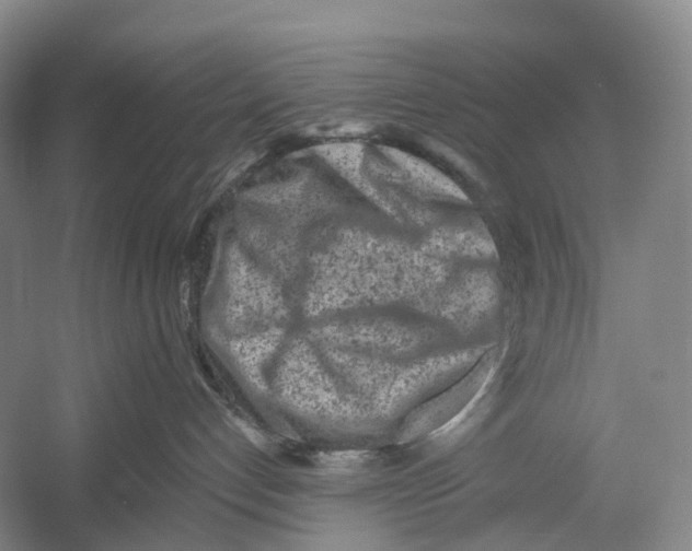 X0000054360192200508262325