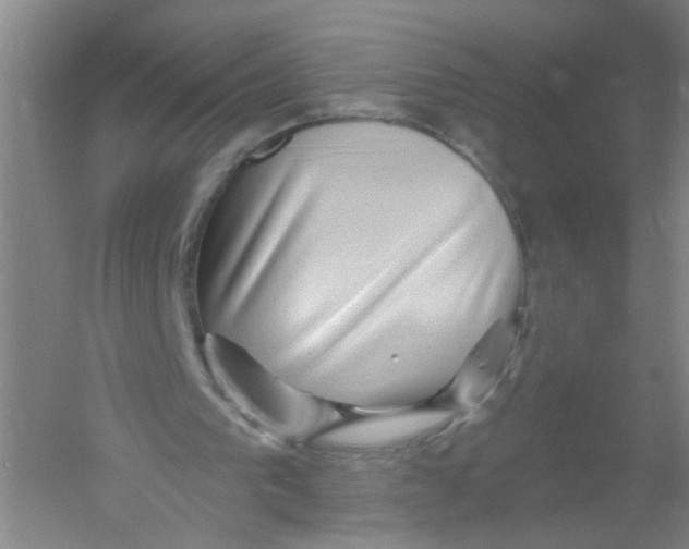 X0000054360193200508262324