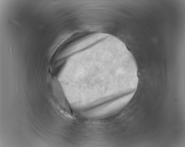 X0000054360194200508262324