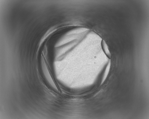 X0000054360198200508262324