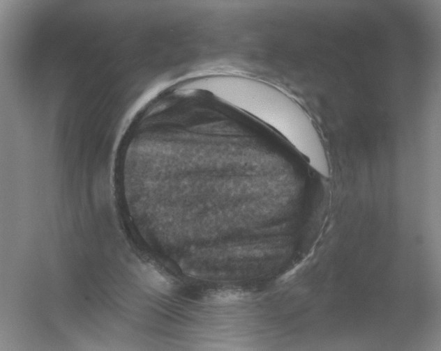 X0000054360200200508262324