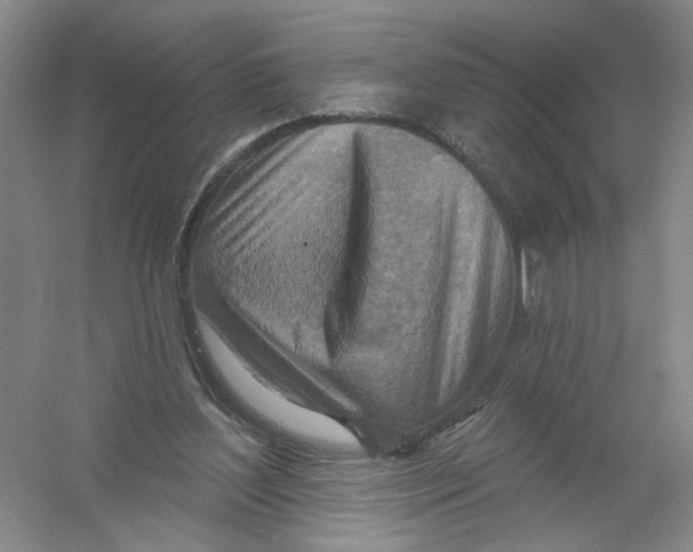 X0000054360204200508262323