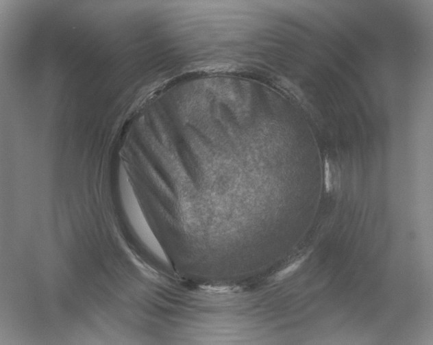 X0000054360205200508262323