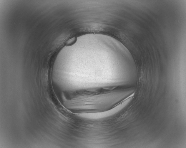X0000054360206200508262323
