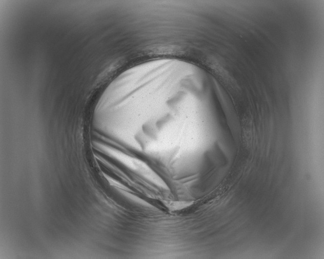 X0000054360207200508262323