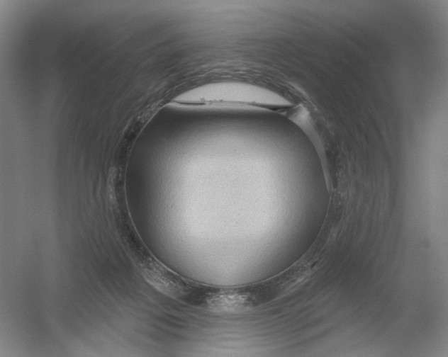 X0000054360217200508262323