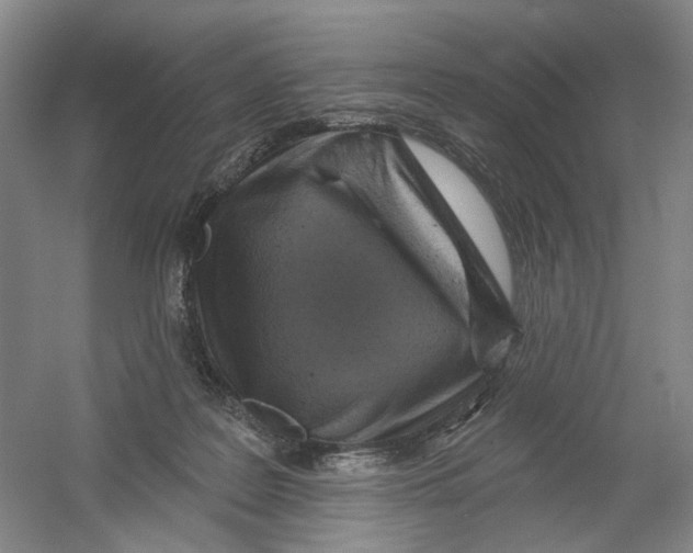 X0000054360219200508262323