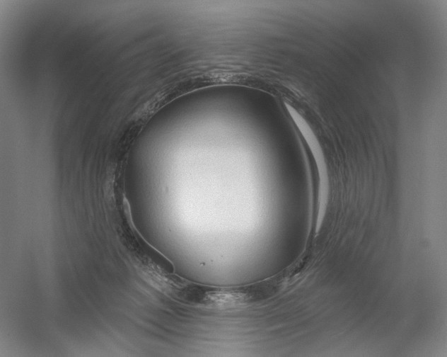 X0000054360221200508262323