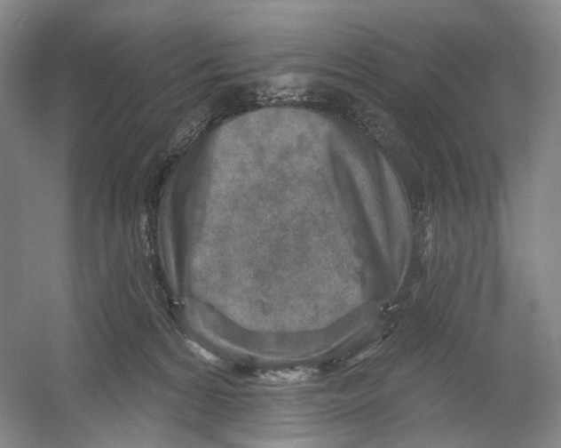 X0000054360224200508262323