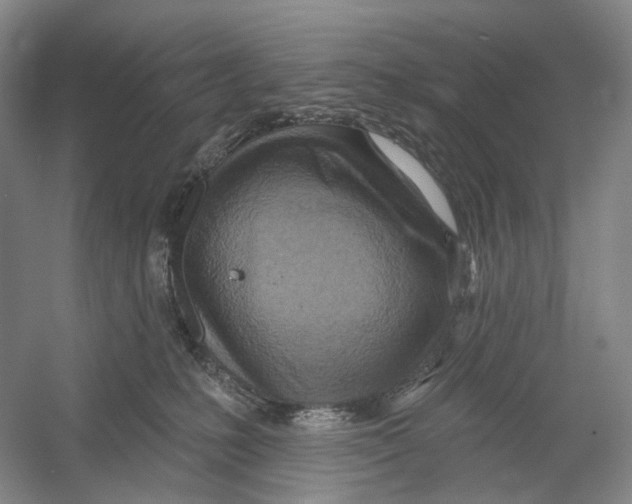 X0000054360231200508262323