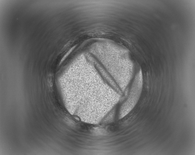 X0000054360232200508262323