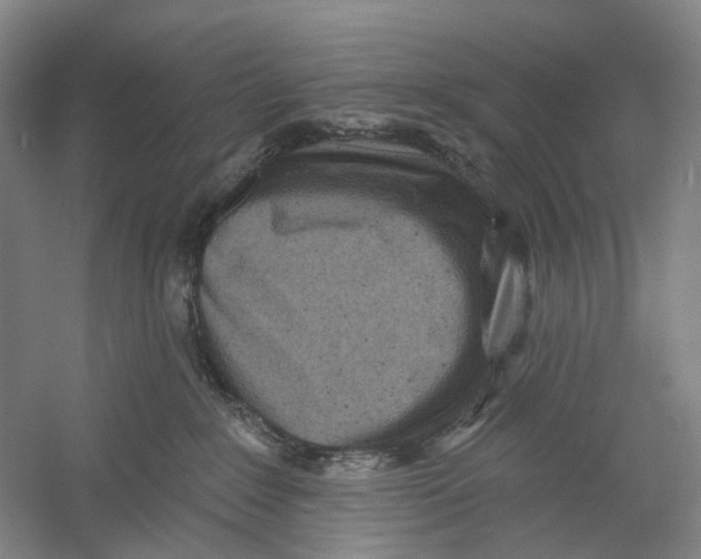 X0000054360235200508262323