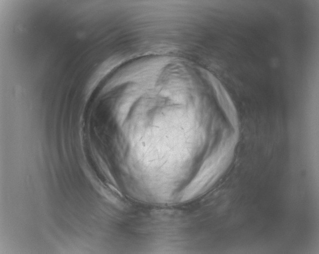 X0000054360242200508262322
