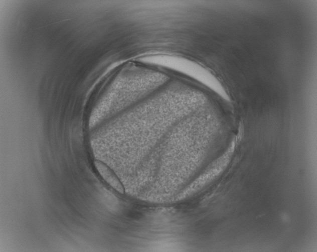 X0000054360243200508262322