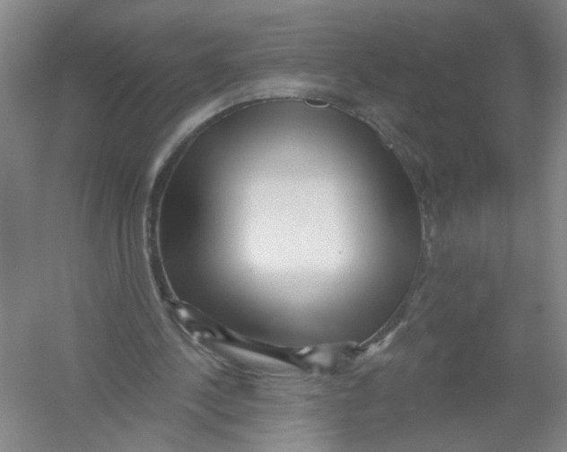 X0000054360244200508262322