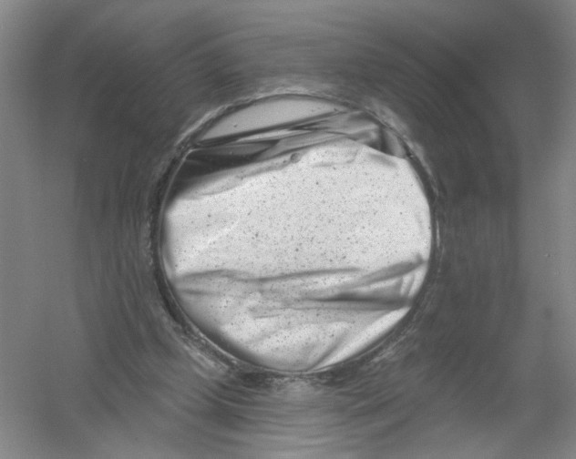 X0000054360249200508262322