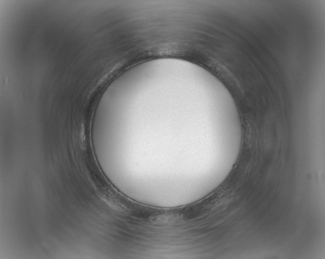X0000054360251200508262322