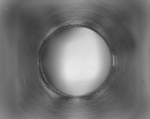 X0000054360253200508262322