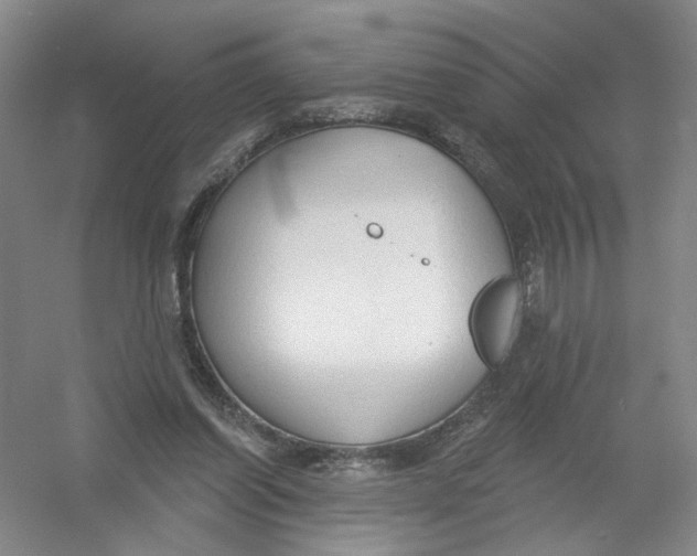 X0000054360254200508262322