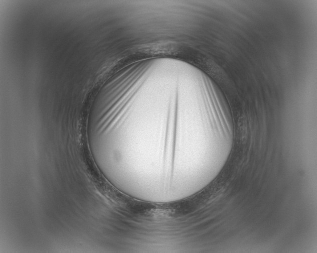 X0000054360255200508262322