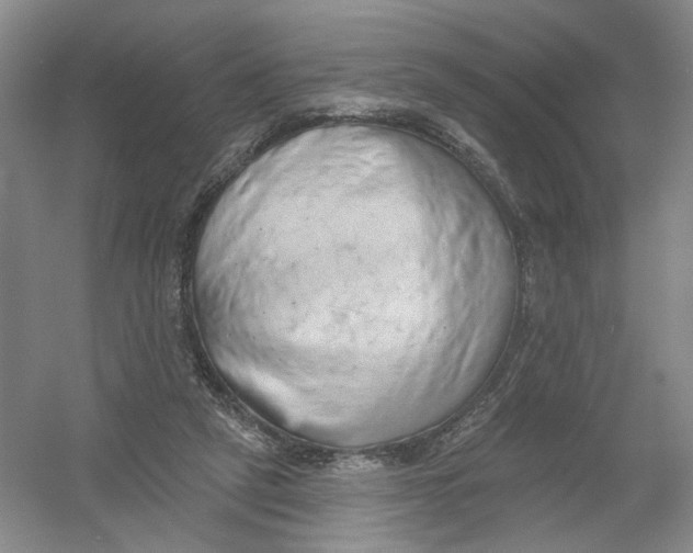 X0000054360257200508262322