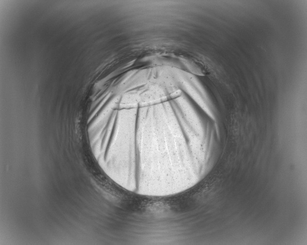 X0000054360258200508262322