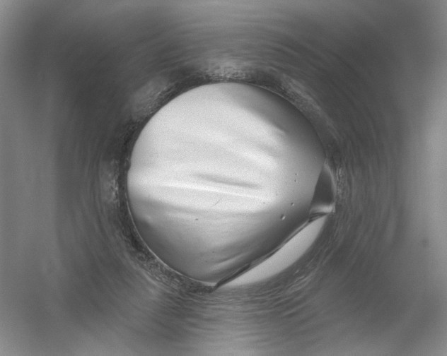 X0000054360259200508262322