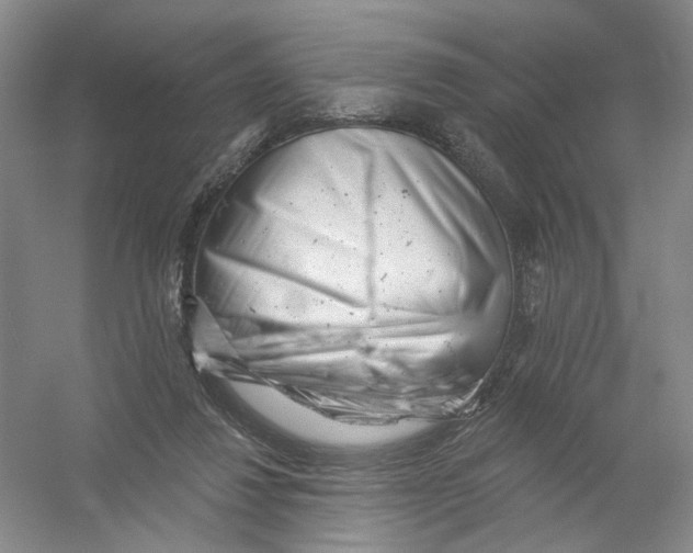 X0000054360260200508262322