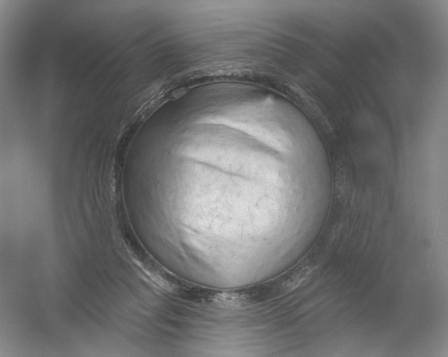 X0000054360261200508262322
