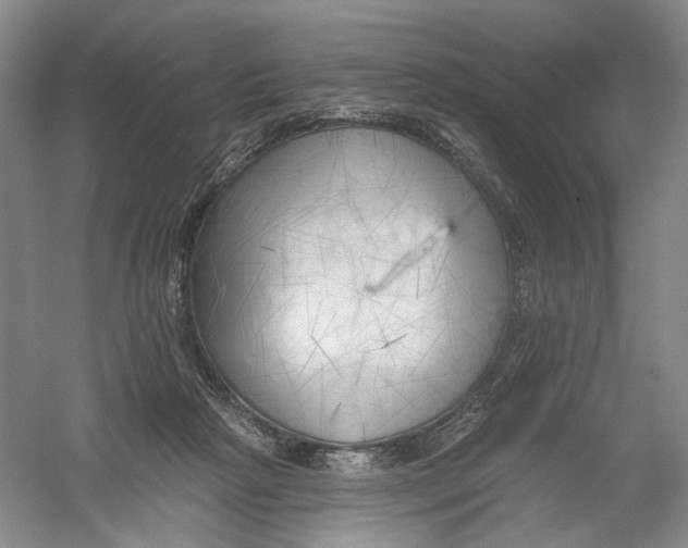 X0000054360265200508262322