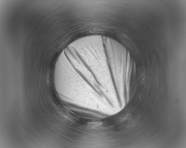 X0000054360266200508262322