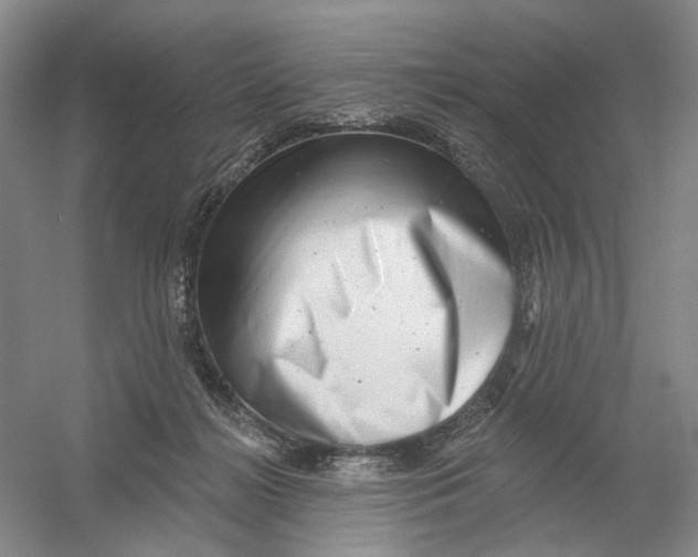 X0000054360268200508262322