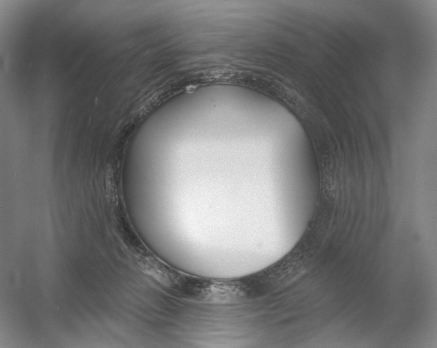 X0000054360270200508262323