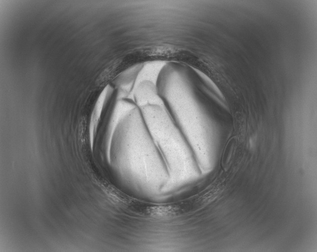 X0000054360273200508262323