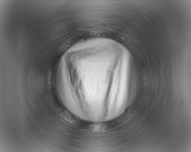 X0000054360275200508262323