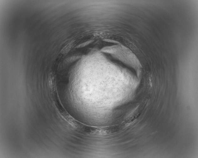 X0000054360276200508262323