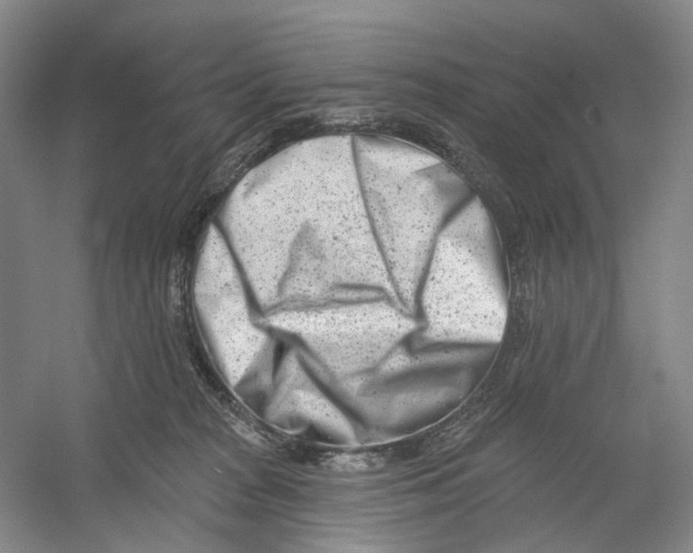 X0000054360277200508262323
