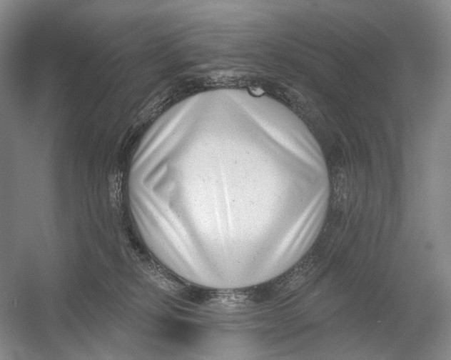 X0000054360278200508262323