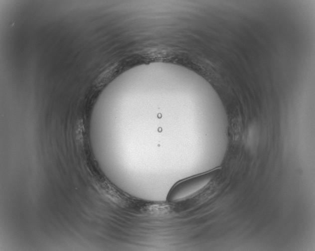 X0000054360279200508262323