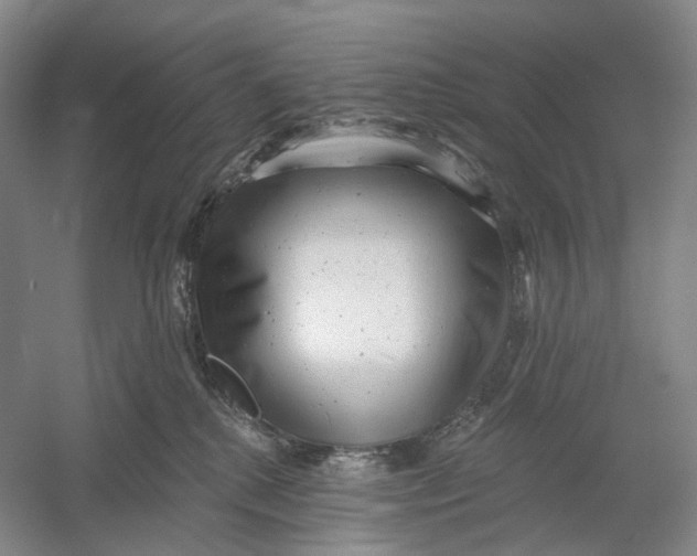 X0000054360280200508262323