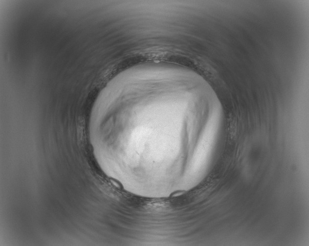 X0000054360283200508262323