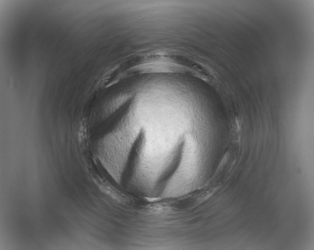 X0000054360284200508262323