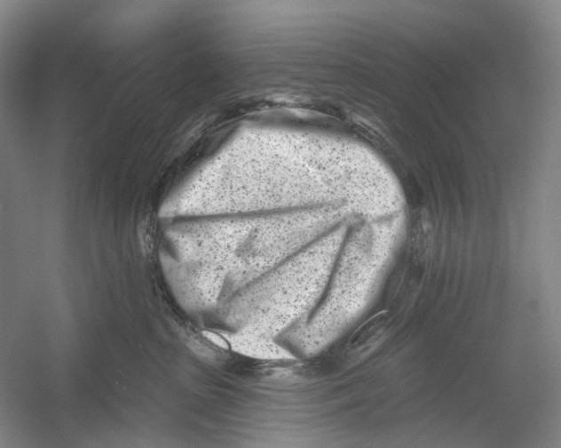 X0000054360285200508262323