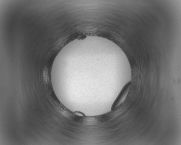 X0000054360287200508262323