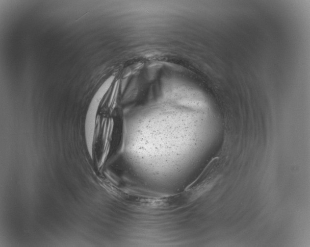 X0000054360288200508262323