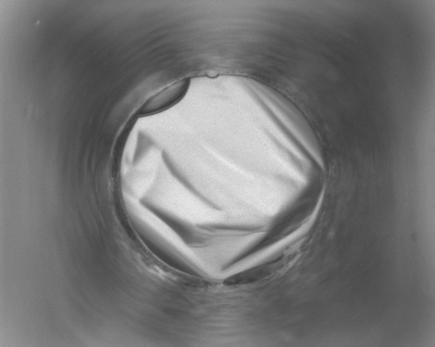 X0000054360290200508262322