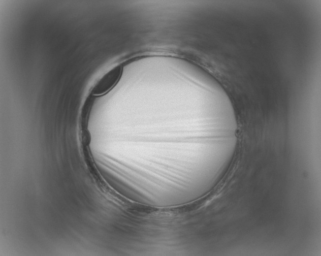 X0000054360294200508262322