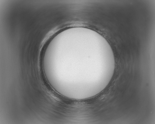 X0000054360296200508262322